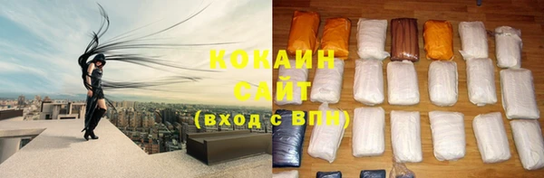 прущие грибы Балабаново