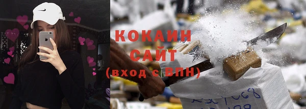 прущие грибы Балабаново