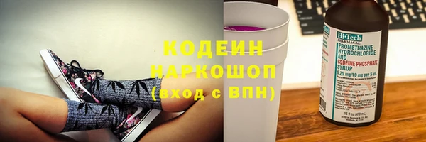 прущие грибы Балабаново