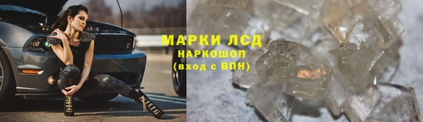 прущие грибы Балабаново