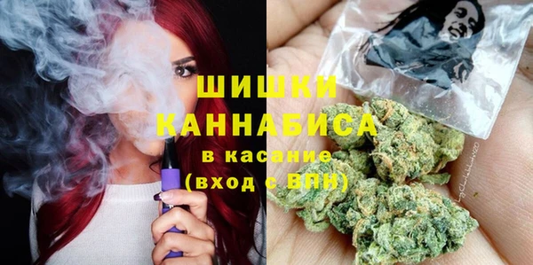 прущие грибы Балабаново
