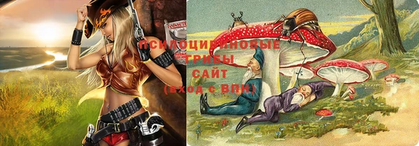 прущие грибы Балабаново
